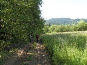 beskid wyspowy 65 (1)